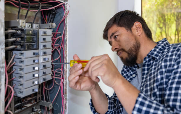 Best Electrical Upgrades for Homes  in Oconto Falls, WI